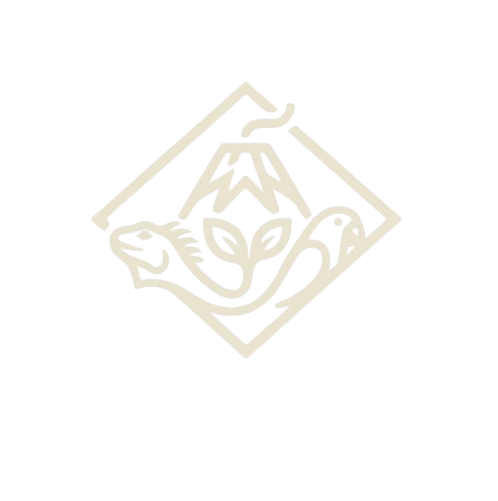 Icono Decorativo